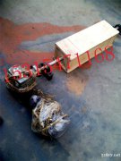 P型合金橡胶清扫器 P-1000合金橡胶清扫器 国龙清扫器